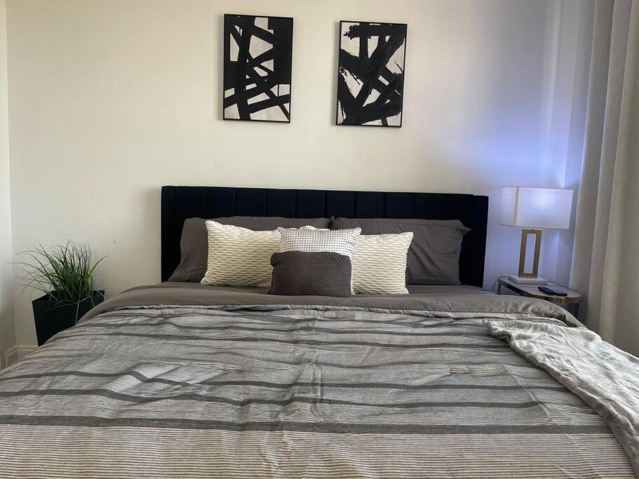 Luxury Skyrise Downtown Jax *