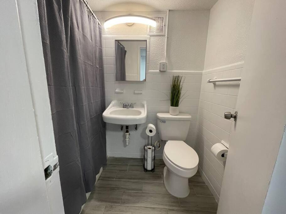 Apartment Luxury Skyrise Downtown Jax Jacksonville